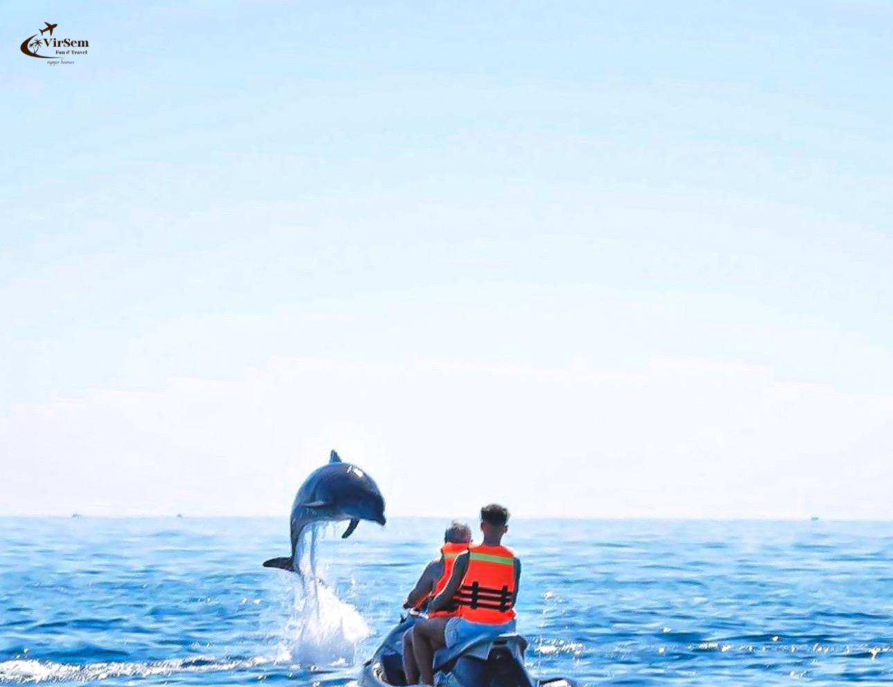 🐬 Dolphin Watching Boat Trip in Djerba – 2-Hour Sea Adventure – photo 2