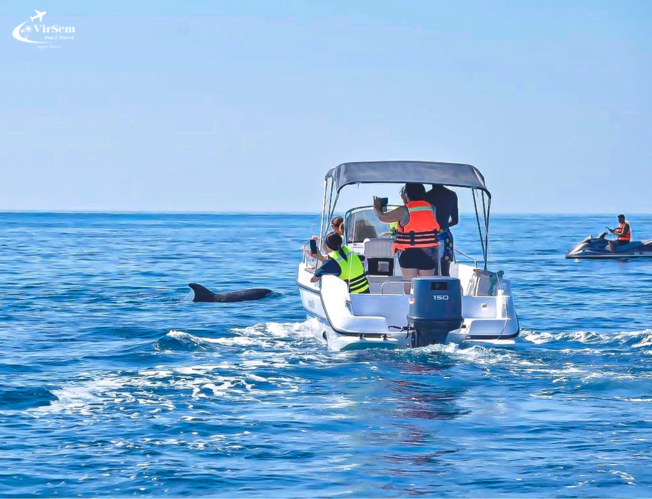 🐬 Dolphin Watching Boat Trip in Djerba – 2-Hour Sea Adventure – photo 5