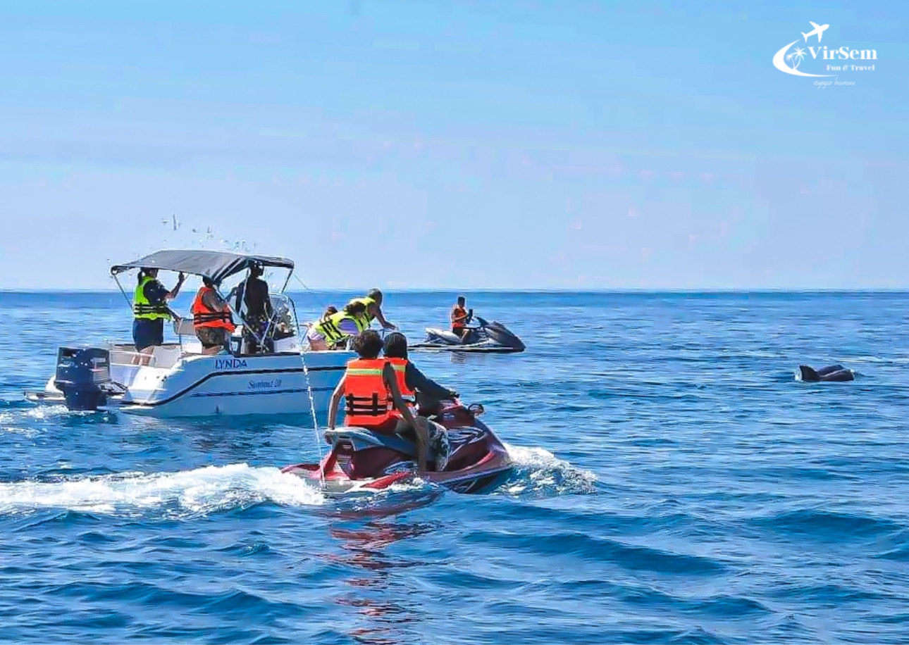 🐬 Dolphin Watching Boat Trip in Djerba – 2-Hour Sea Adventure – photo 3
