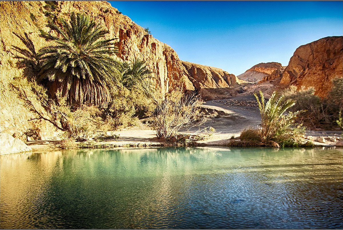 5-Day Desert & Heritage Adventure in Tunisia From Djerba – photo 2
