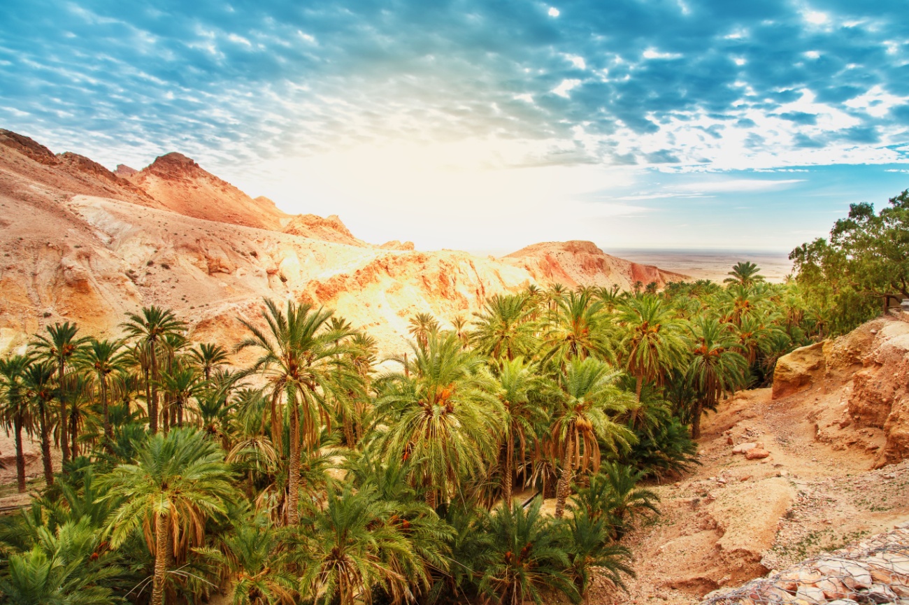 5-Day Desert & Heritage Adventure in Tunisia From Djerba – photo 1