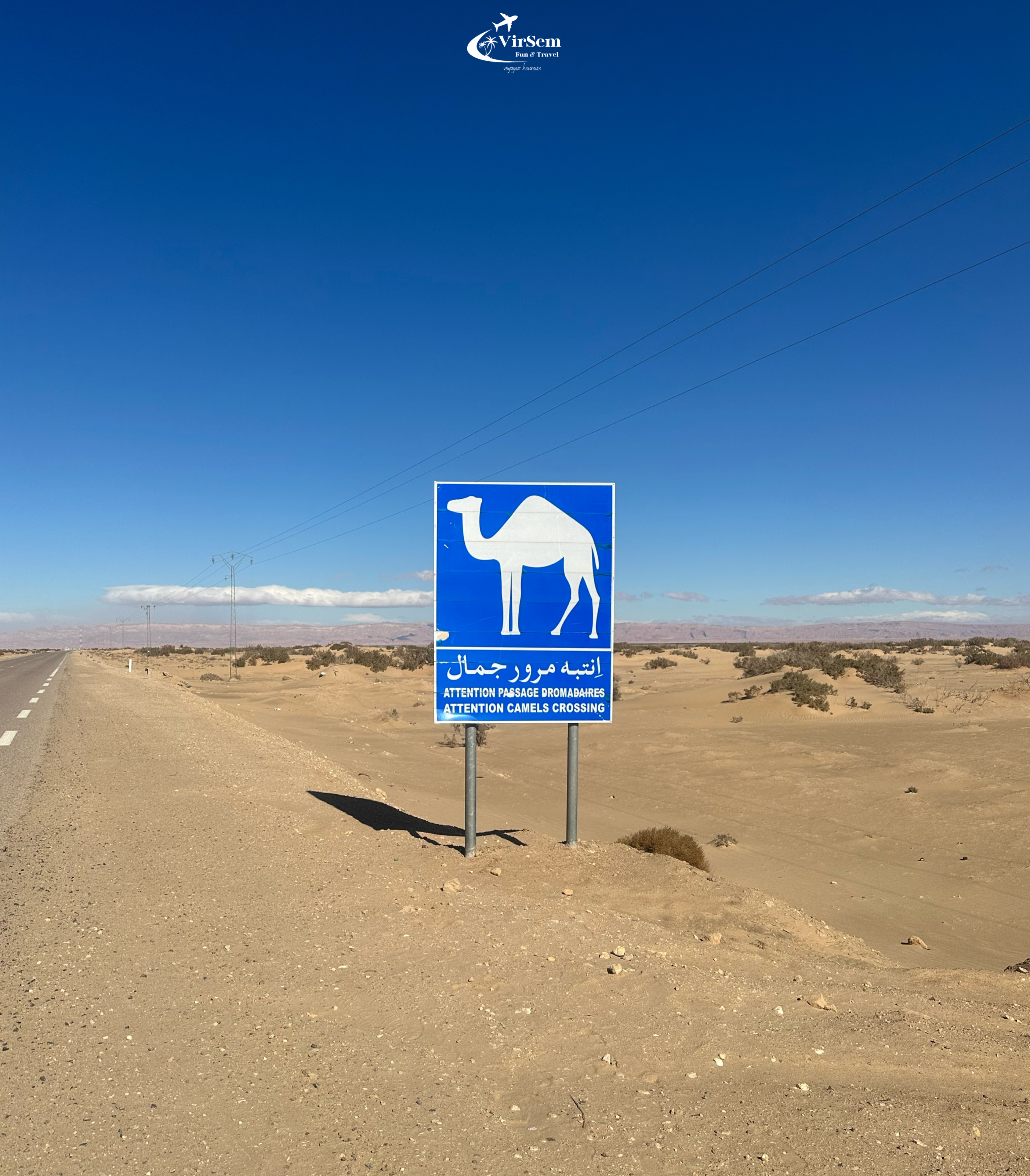 Desert Adventure: Camel Trek & Wild Camping – 7 Days (From Tunis) – photo 10