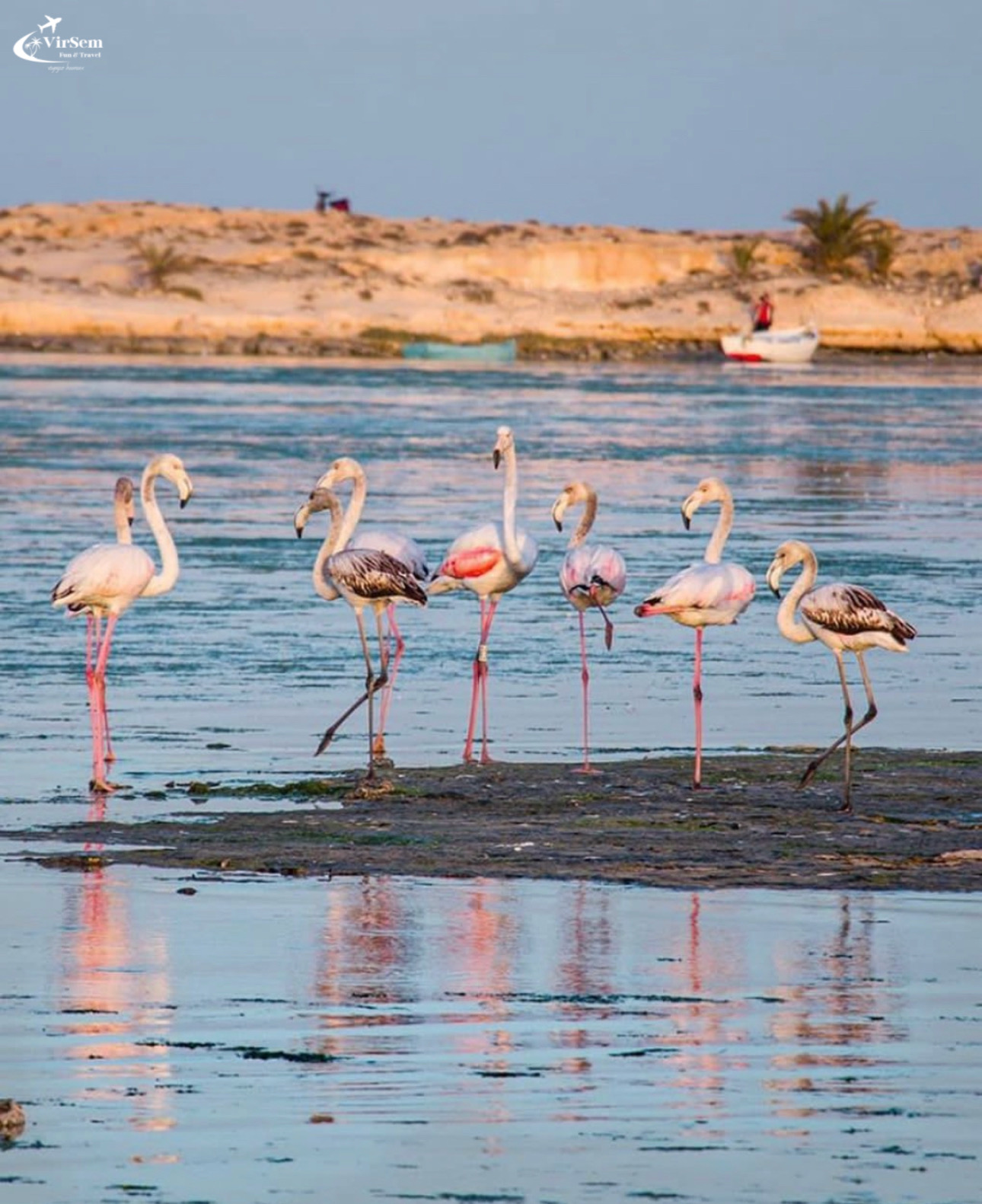 Pirate Boat Excursion: Adventure, Relaxation & a Festive Lunch on Flamingo Island – photo 2