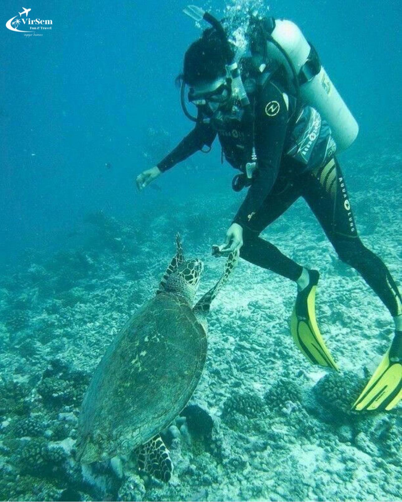 Explore Submerged Treasures: Scuba Diving Experience in Djerba – photo 5