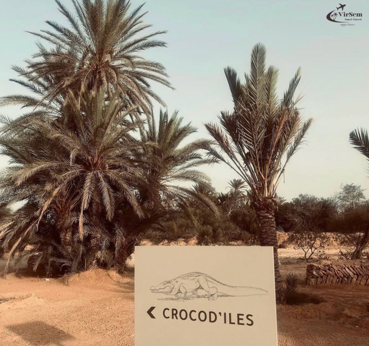 Enchanting Tunisia: 6-Day Cultural & Desert Experience (From Tunis) – photo 14