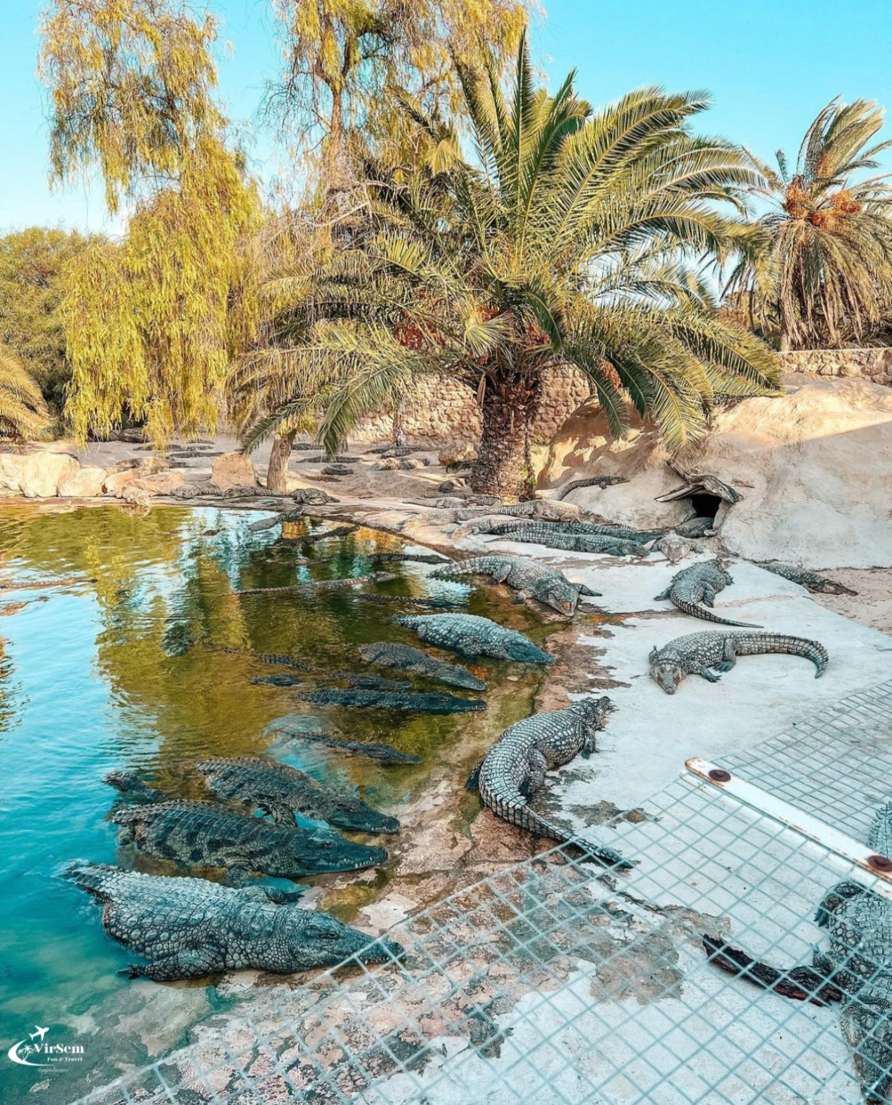 Djerba Explore: A Stunning Journey into Culture and Nature – photo 2