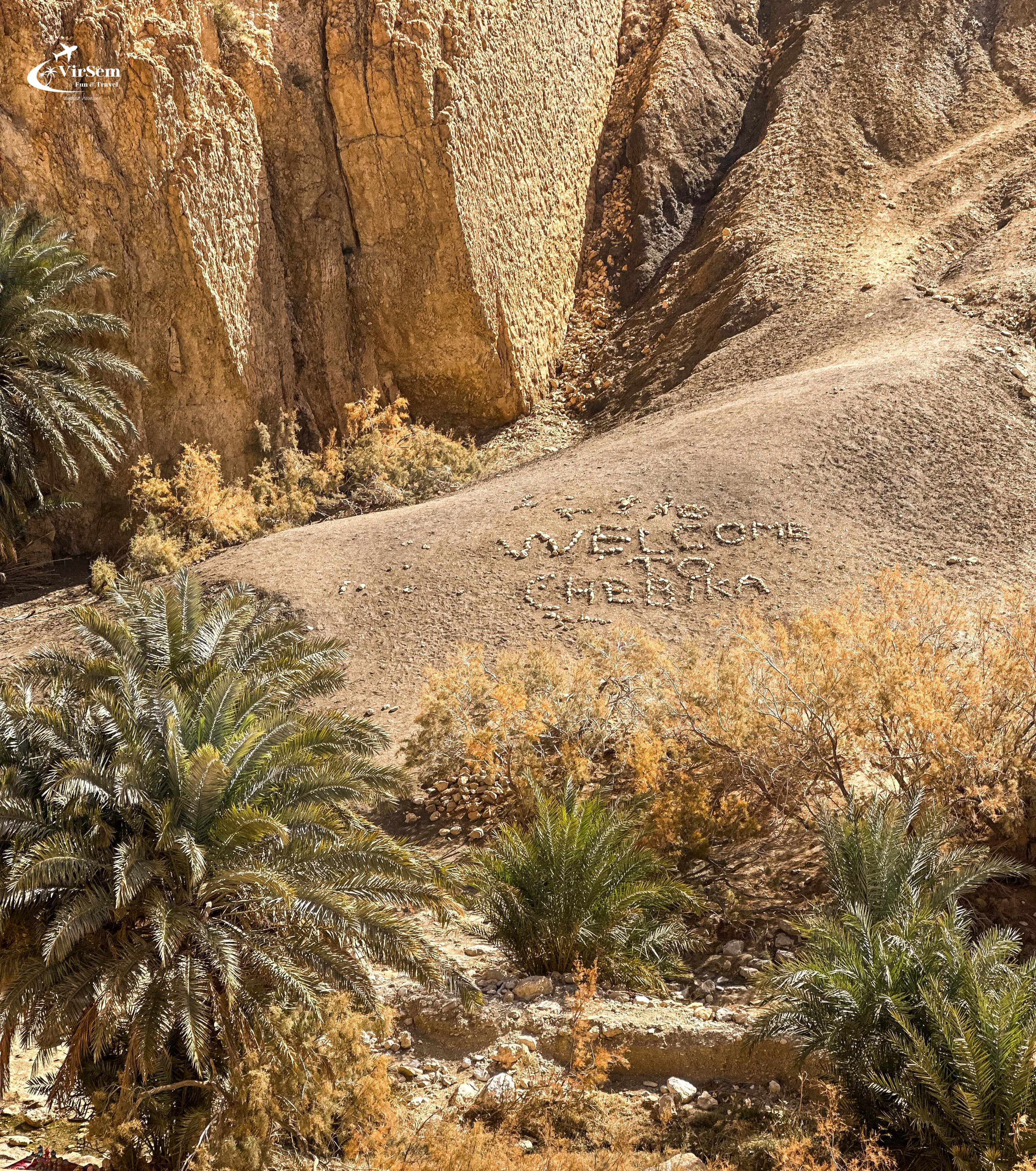 Desert Adventure: Camel Trek & Wild Camping – 7 Days (From Tunis) – photo 17