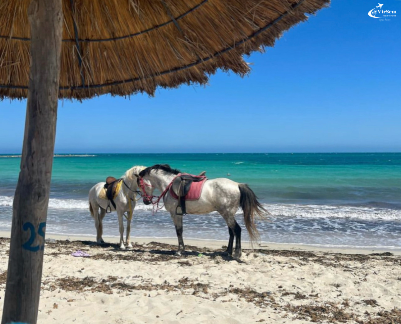 Explore Djerba at the Gentle Pace of a Camel Ride – photo 5