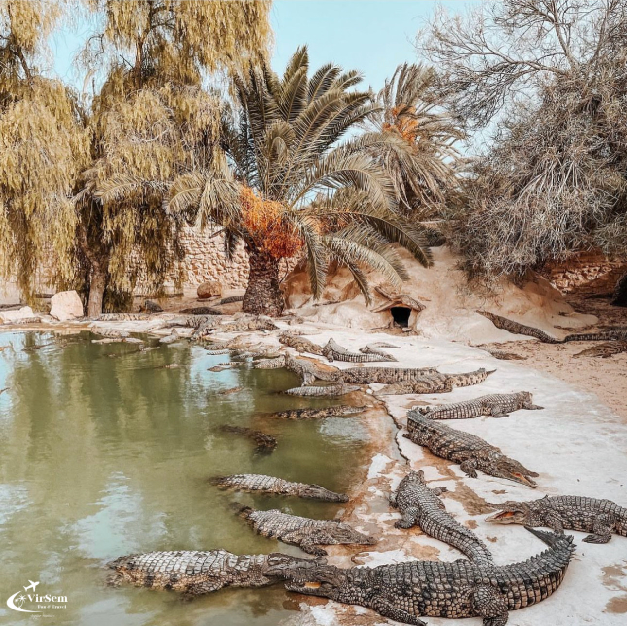 Djerba Explore: A Stunning Journey into Culture and Nature – photo 1