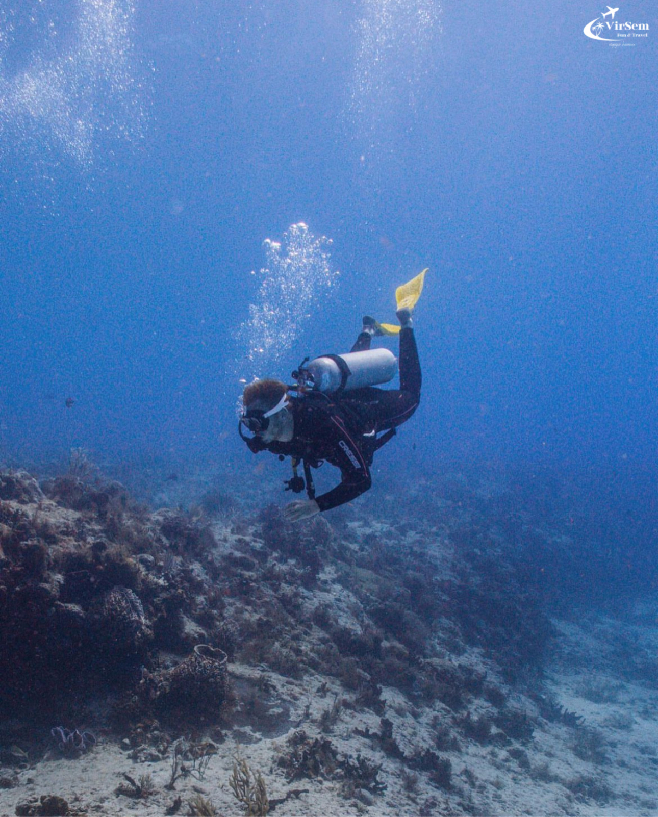 Explore Submerged Treasures: Scuba Diving Experience in Djerba – photo 4