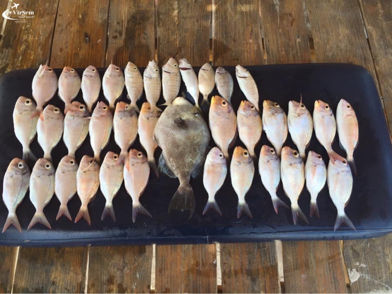 A Culinary Adventure in Djerba: From the Fish Market to Your Plate – photo 1