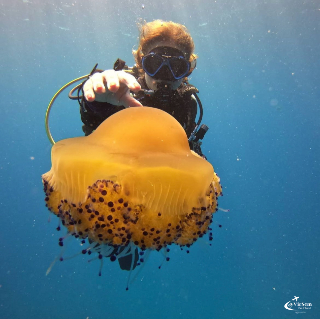 Explore Submerged Treasures: Scuba Diving Experience in Djerba – photo 2