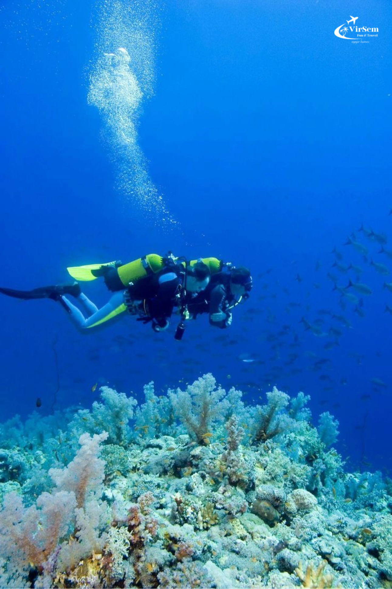 Explore Submerged Treasures: Scuba Diving Experience in Djerba – photo 3