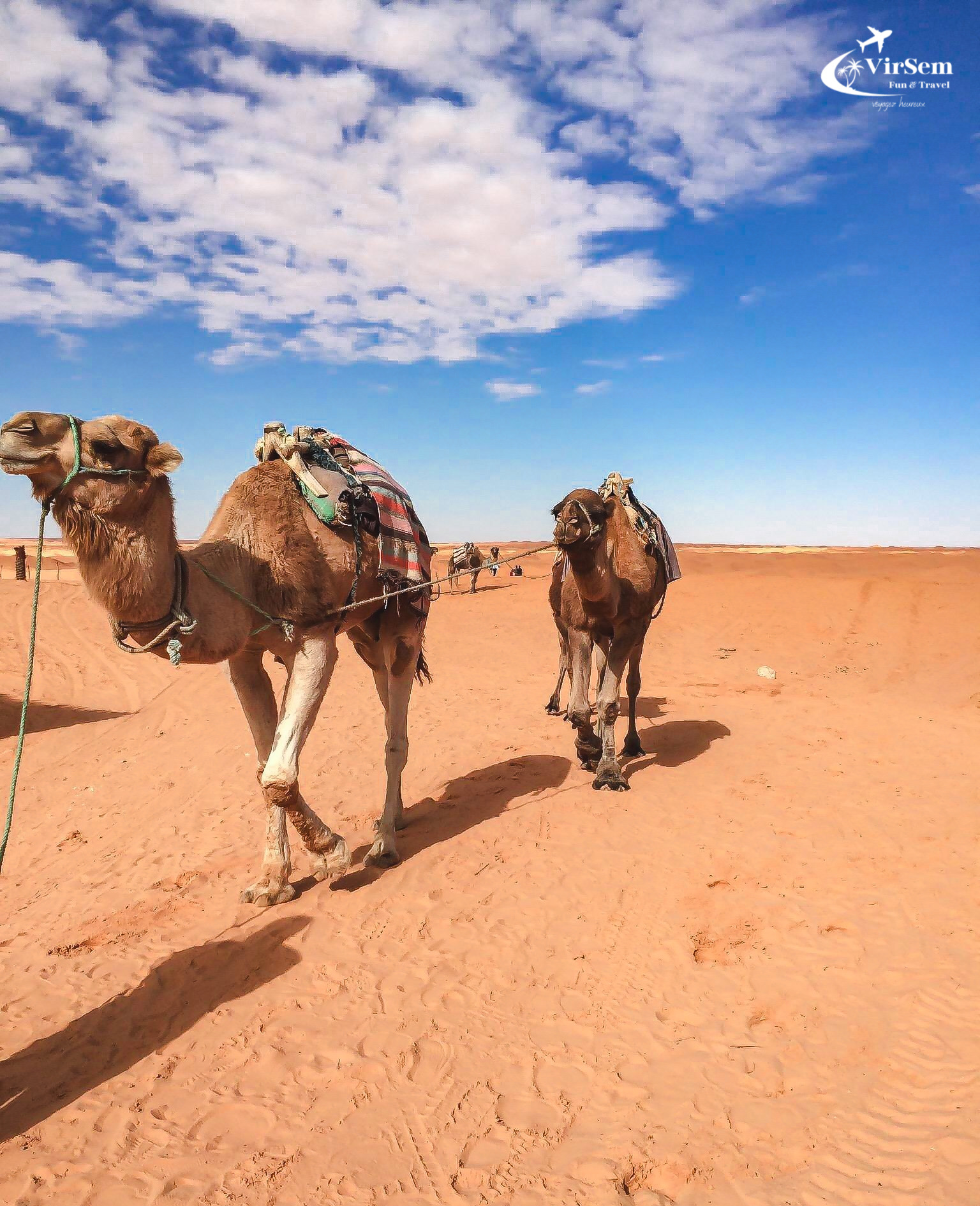 Stars & Hidden Lands: An Epic 3-Day Journey in Tunisia From Sousse – photo 5