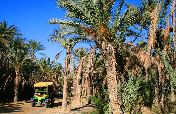 Grand Tour of Tunisia – 8 Days / 7 Nights From Tunis – photo 34