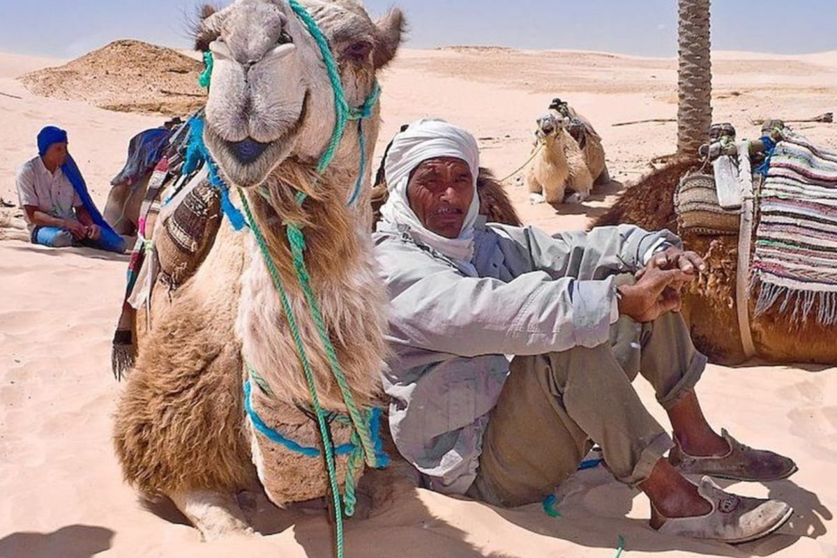 Tunisia North to South: 2-Day Sahara and UNESCO Sites Tour – photo 1